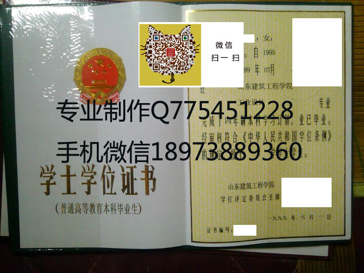 山东建筑工程学院老版学位证样本