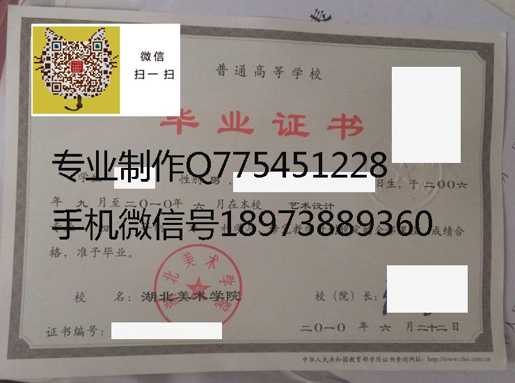 湖北美术学院毕业证样本