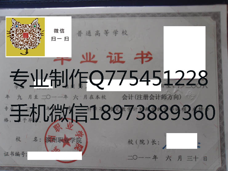滨州职业学院毕业证样本