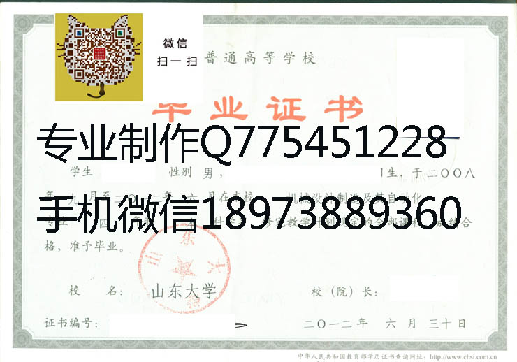 山东大学毕业证样本