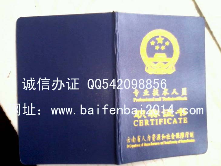云南新版专业技术资格证书样本