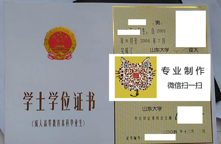 山东大学老版学位证样本