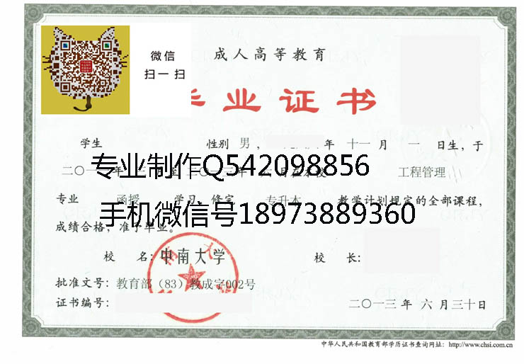 中南大学毕业证样本