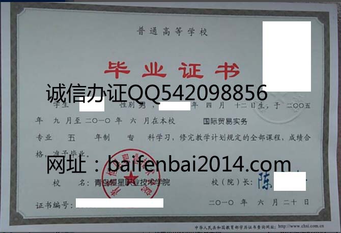 青岛恒星职业技术学院2010年毕业证样本