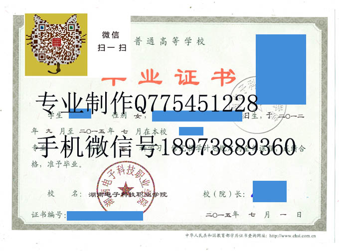 湖南电子科技职业学院毕业证样本