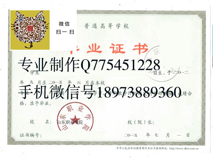山东职业学院毕业证样本