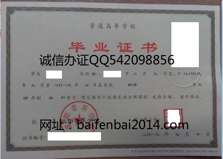 沈阳音乐学院2013年毕业证样本