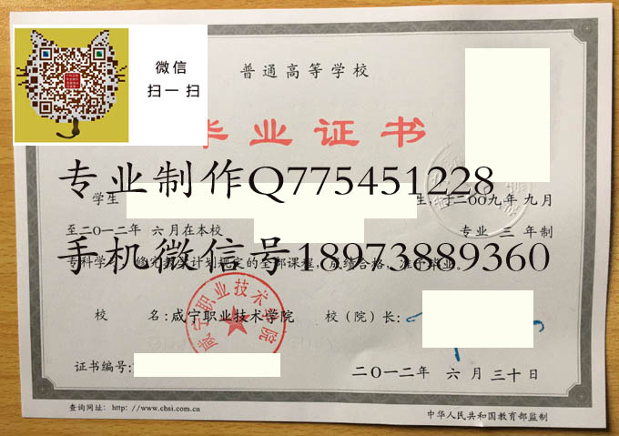 咸宁职业技术学院毕业证样本