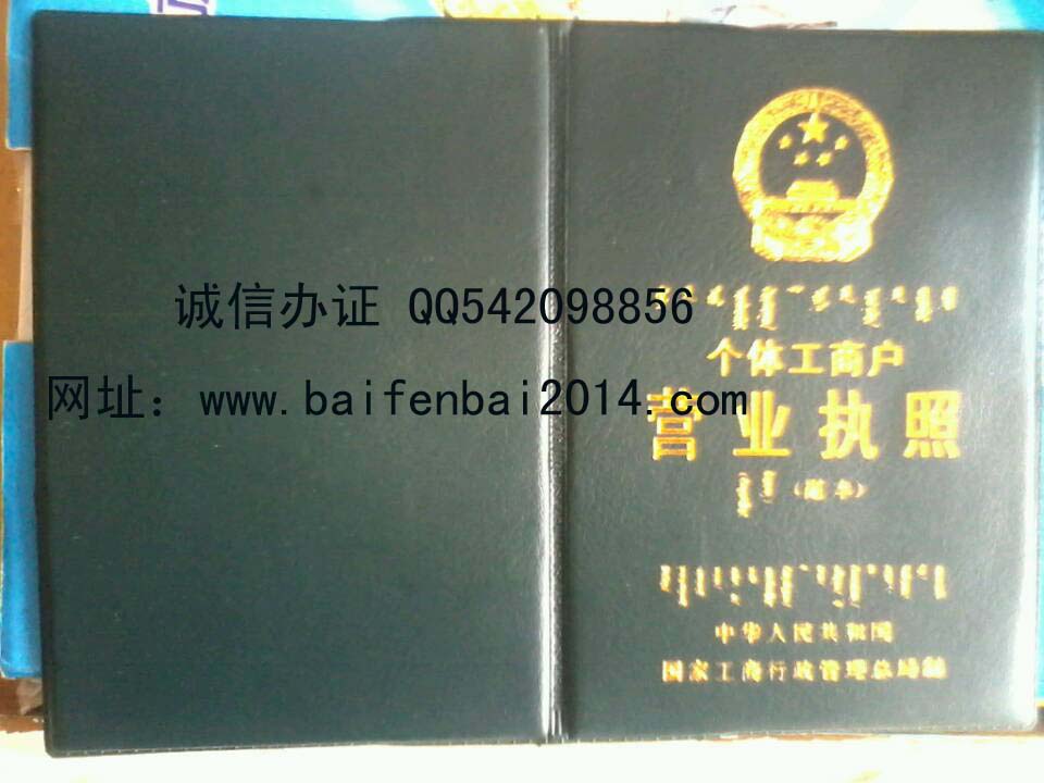 内蒙古个体工商户营业执照样本