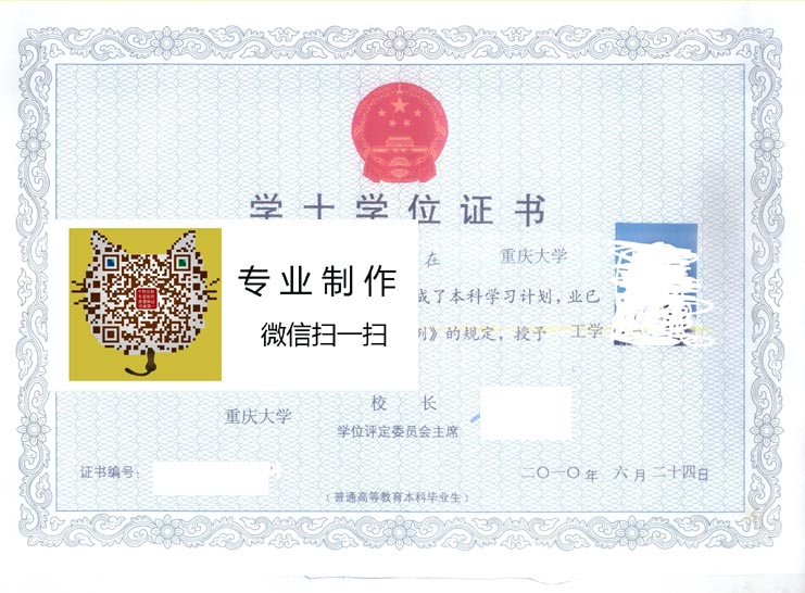 重庆大学2010学位证样本