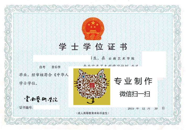 云南艺术学院毕业证样本