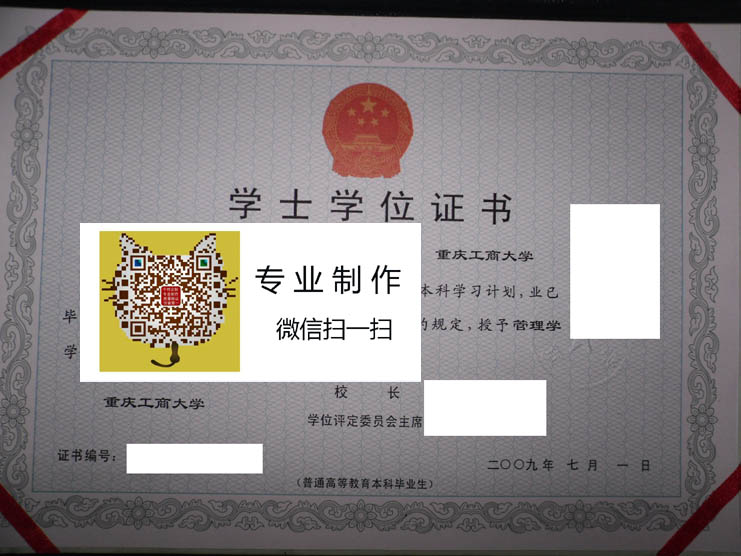 重庆工商大学2009年学位证样本