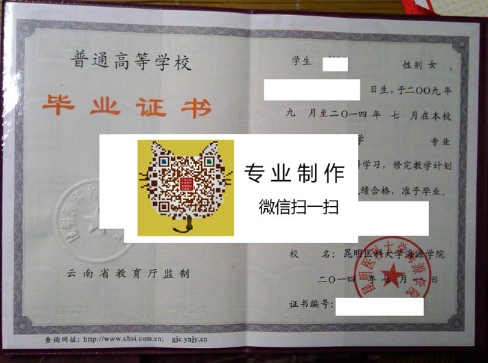 昆明医科大学海源学院毕业证样本