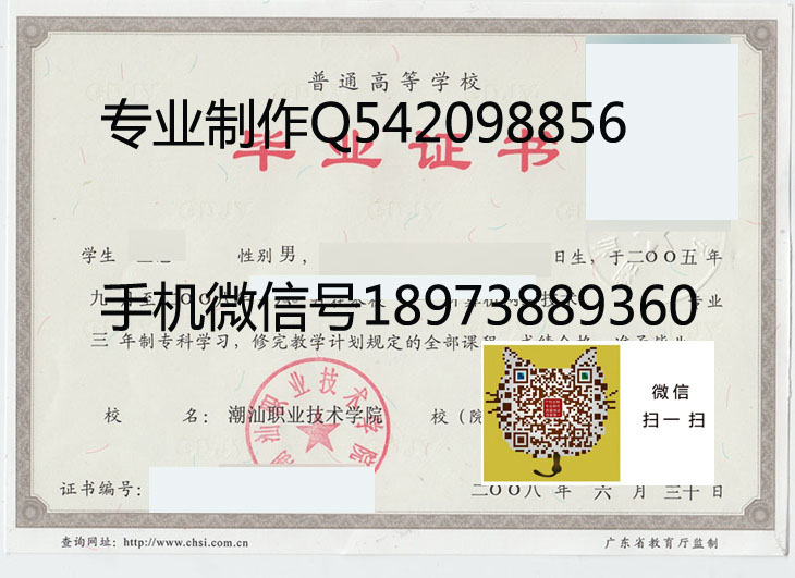潮汕职业技术学院2008年毕业证样本