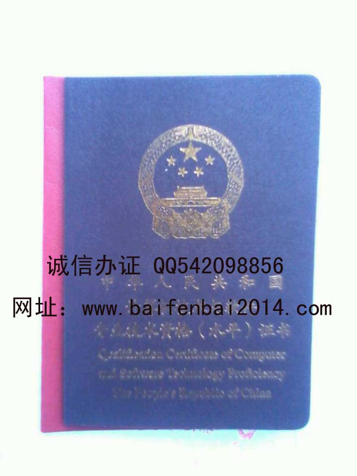 计算机技术与软件专业技术资格证书样本