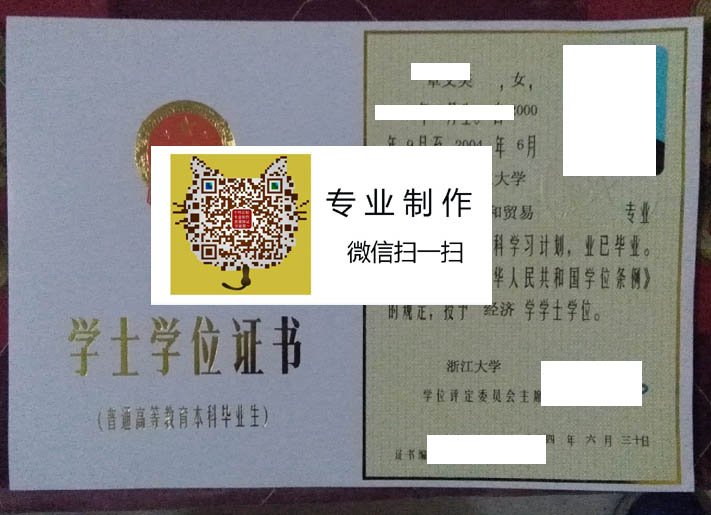 浙江大学2004年老版学位证样本