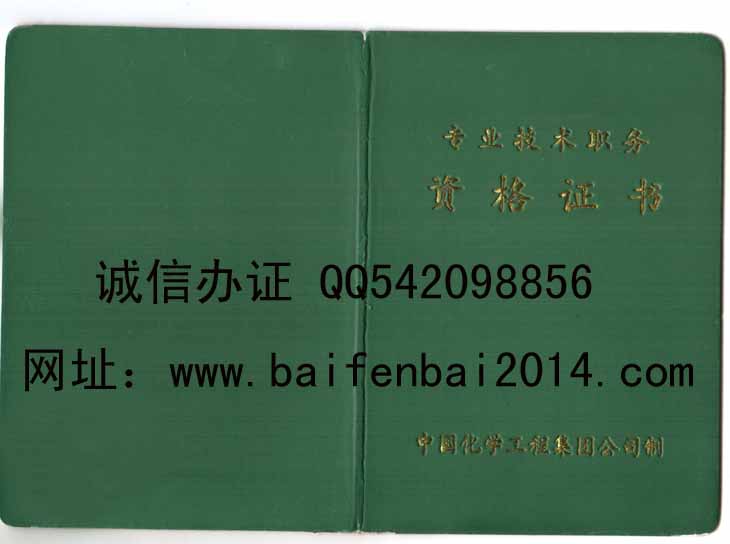 中国化学工程集团公司工程师样本