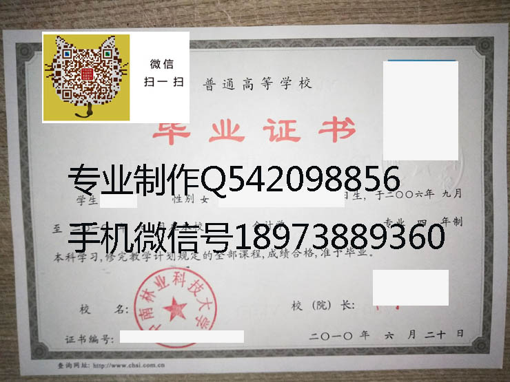 中南林业科技大学毕业证样本