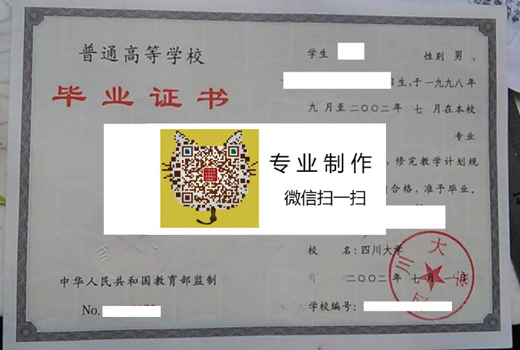 四川大学2002年毕业证样本