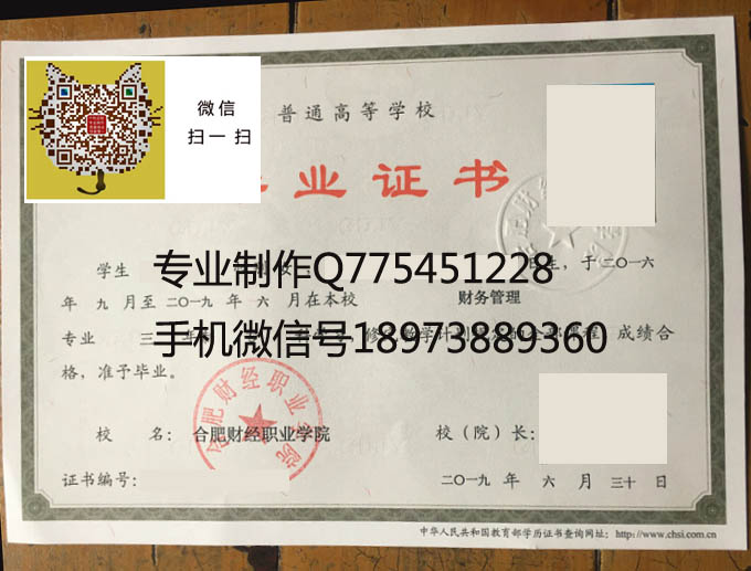 合肥财经职业学院19年毕业证样本