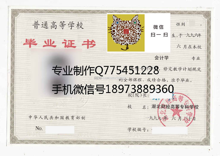 湖北财经高等专科学校毕业证样本