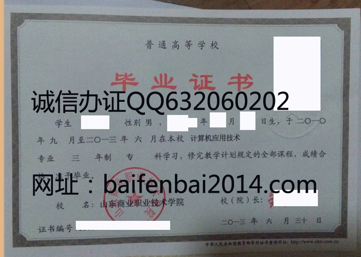 山东商业职业技术学院2013年毕业证样本