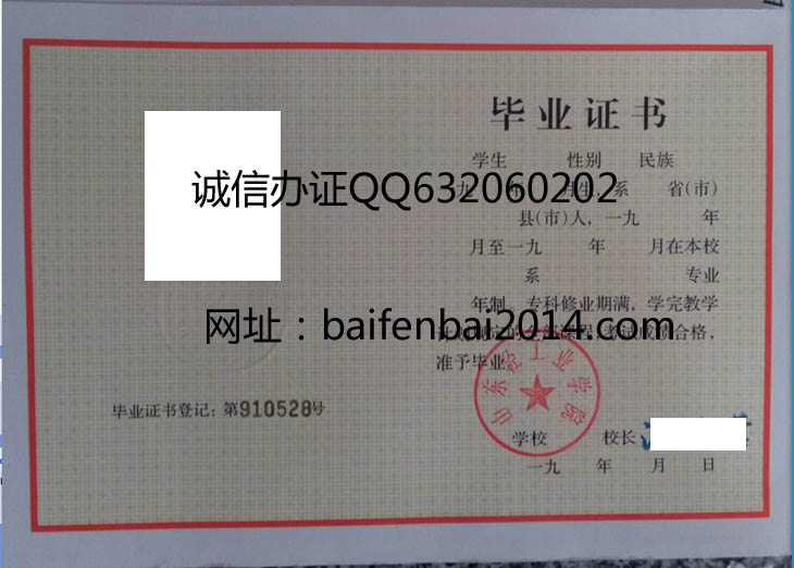 山东轻工业学院91年毕业证样本