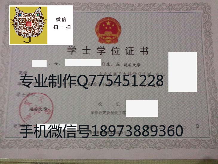 延安大学学位证2012年样本图片