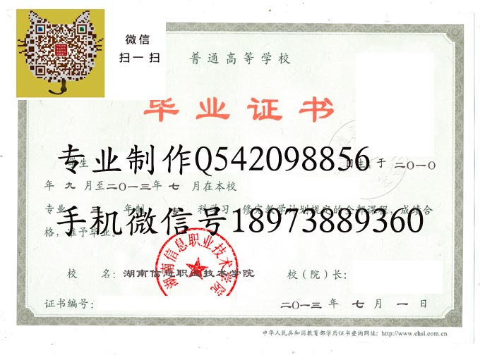 湖南信息职业技术学院2013 拷贝.jpg
