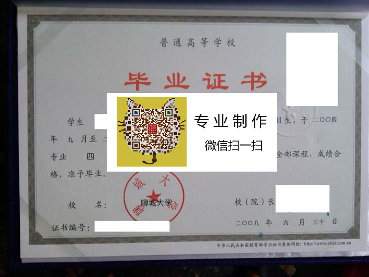 聊城大学2008年毕业证样本图片